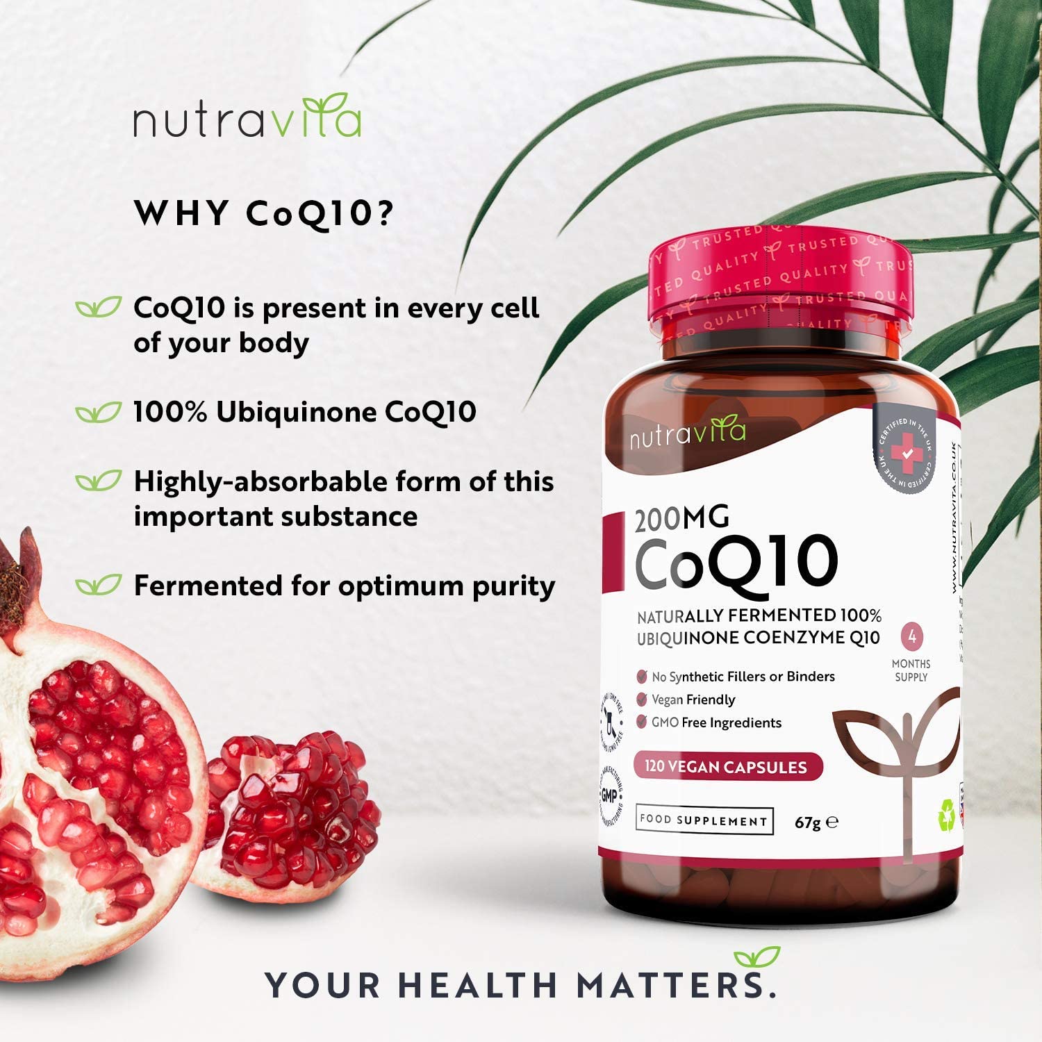 71IZwJdZvkL._AC_SL1500_