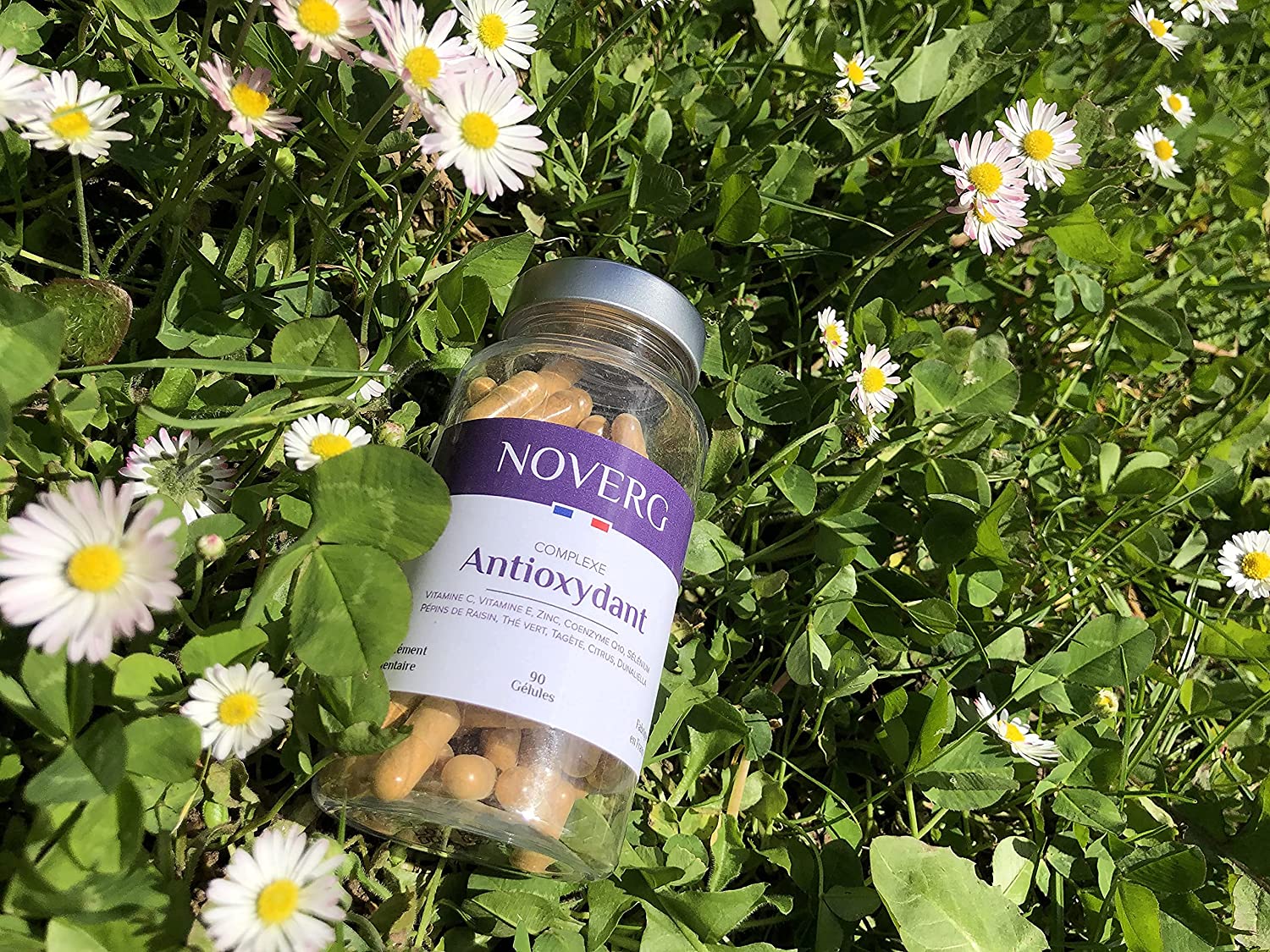 91g3e7mLYEL._AC_SL1500_