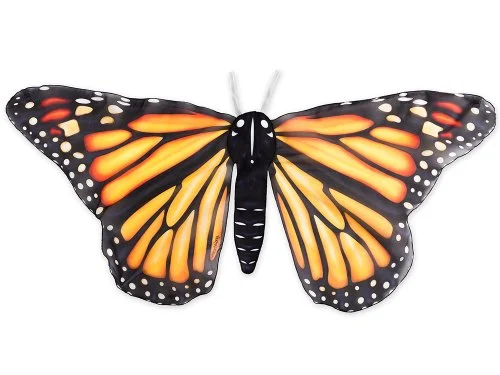 acheter-prix-ailes-de-jeu-de-papillon