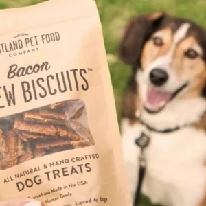 Biscuits pour chiens style maison et sans céréales