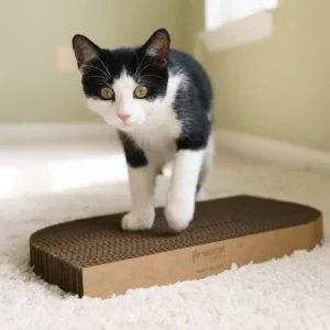Bloc-notes pour chat en carton durable