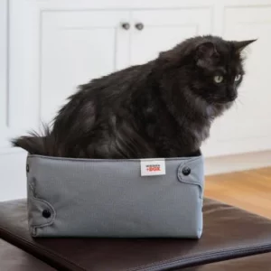 Boîte de compression pour chat