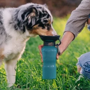 Bouteille d'eau pour bol pour chien AutoDogMug