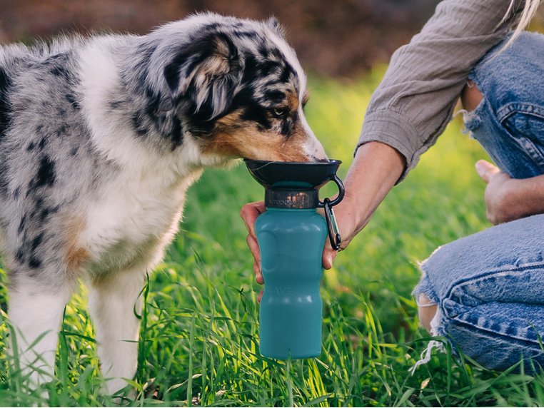 bouteille-d-eau-pour-bol-pour-chien-autodogmug