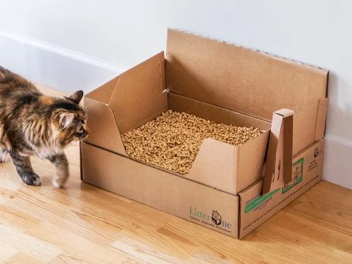 litiere-pour-chat-naturelle-autonome