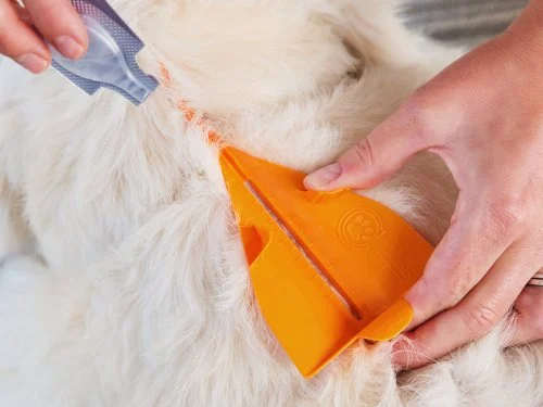 outil-applicateur-de-traitement-contre-les-puces-et-les-tiques