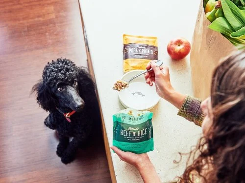 sachets-d-aliments-humides-cuits-maison-pour-chiens-choisissez-trois